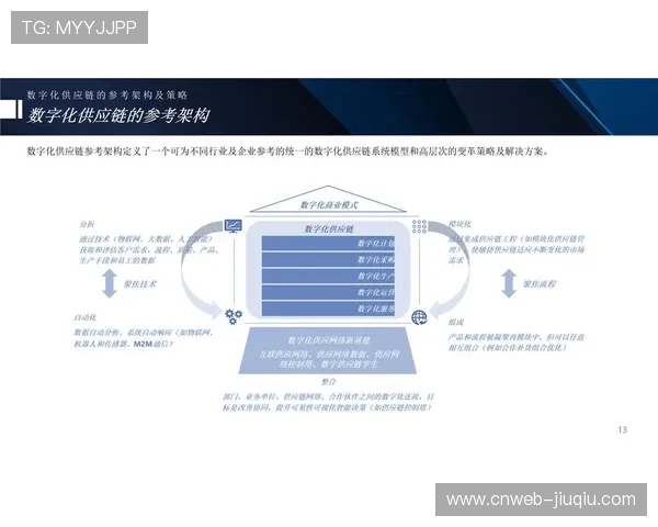 本阶段全链条数字化改造正式落地 标志着体育服务供应链完成了转型使命